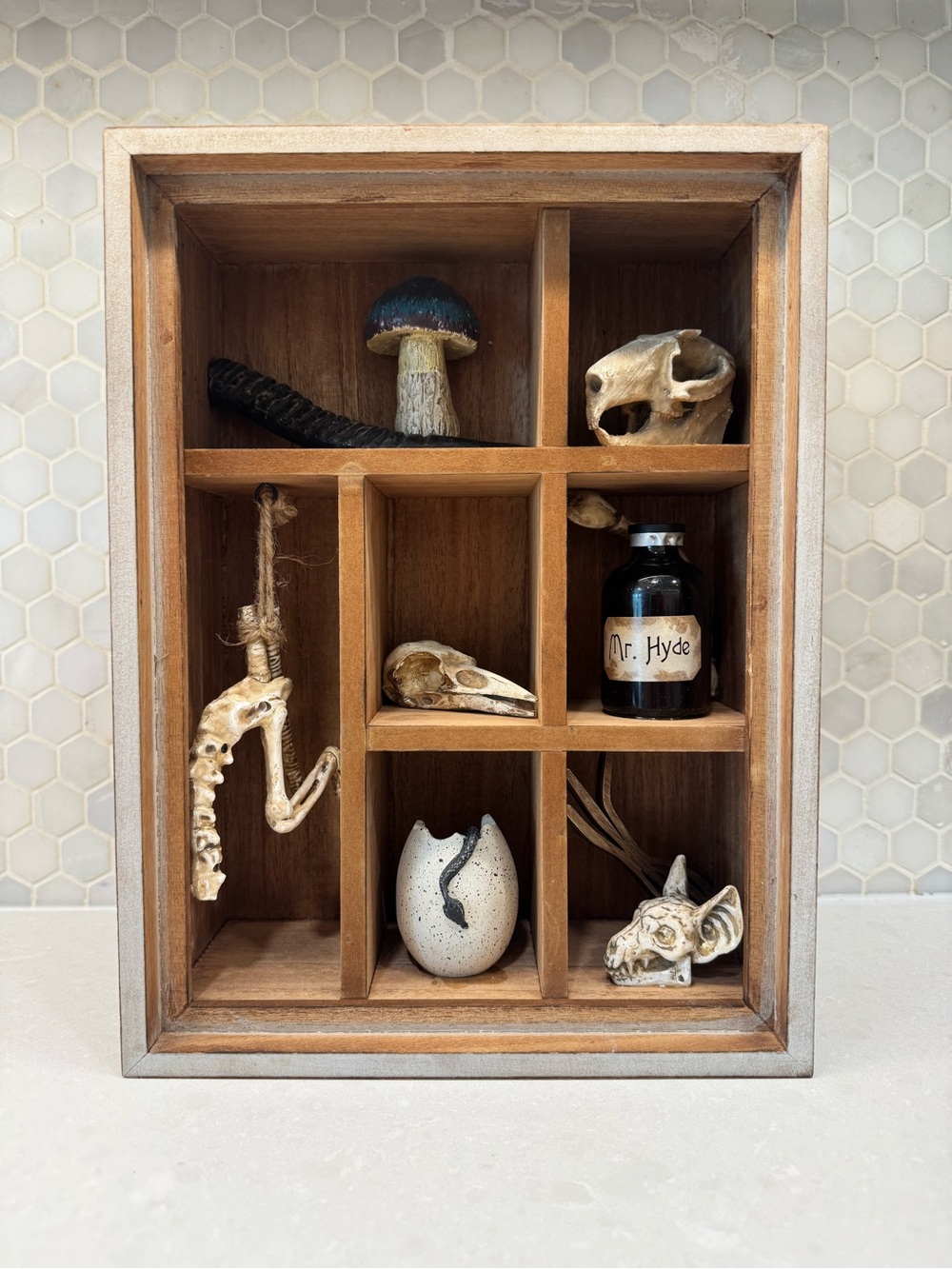 Ashland HalloweenWooden Curio Shadow Box Decor